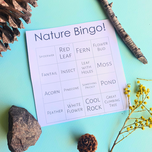 Nature Bingo Free Download